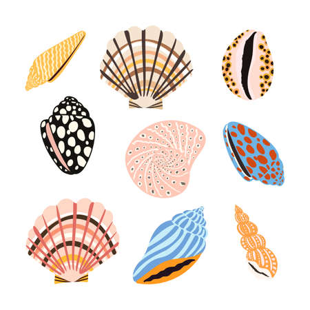 Sea shells, fossils and mollusks object set. Summer beach hand-drawn seaside vector print. Fashion bright multicolored illustration. Seashore elements designのイラスト素材