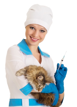 vet nurse makes the injection of a cat の写真素材