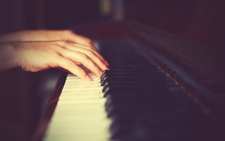hands of a young woman pianist on the piano keyboardの写真素材