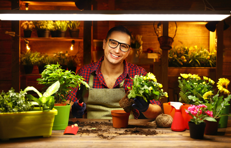 Happy man gardener transplants and watering flowers in greenhouseの写真素材