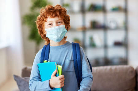 Optimistic smart ginger schoolboy in casual wear wearing protective mask holding copybooks and looking at camera at homeの写真素材