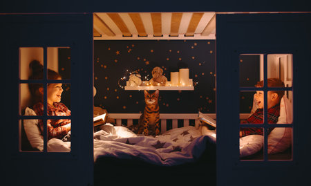 Side view of delighted brother and sister smiling and reading books while resting on bed near cat at night at homeの写真素材