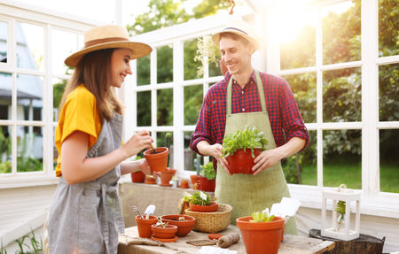 Happy couple man and woman smiling and planting sprouts while standing near table in orangery on sunny summer day in gardenの写真素材
