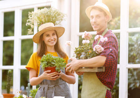 Happy couple man and woman smiling and planting sprouts while standing near table in orangery on sunny summer day in gardenの写真素材