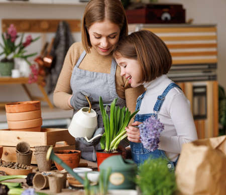 Mother and daughter watering plant together at homeの写真素材