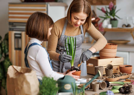 Mom and kid doing home gardening togetherの写真素材