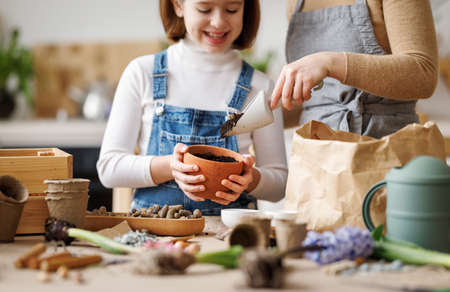 Mom and kid doing home gardening togetherの写真素材