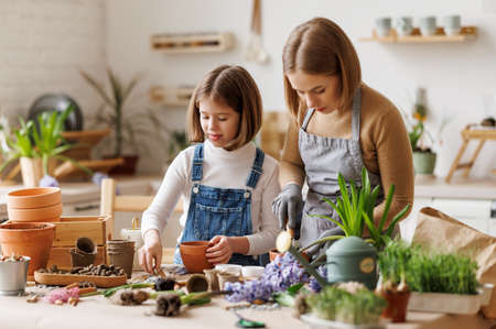 Mom and kid doing home gardening togetherの写真素材