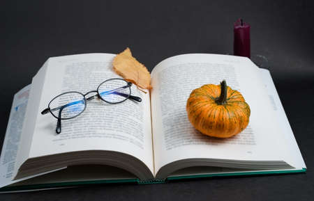 Open business book (with blurred text) that has glasses, small pumpkin and a leaf on it is near candleの写真素材