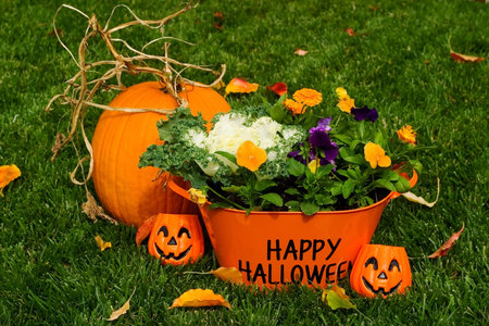 Happy Halloween flower basket and pumpkin on grass with leavesの写真素材