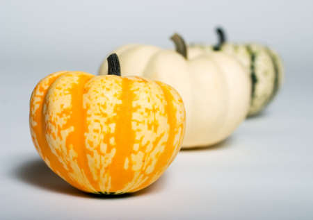 Three small pumpkins in a row with two out of focusの写真素材