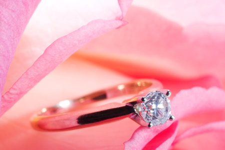  way to present a diamond ring inside beautiful rose on Valentine day.の写真素材