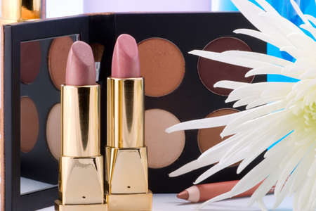Makeup set of two lipsticks, eyeshadow over aqua lotion and white spider chrysanthemumの写真素材