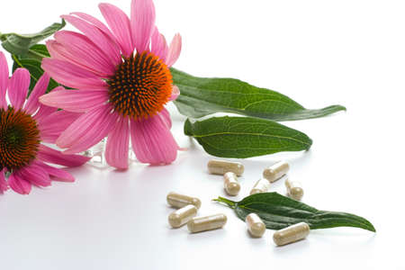 Closeup of Echinacea extract pills and fresh Echinacea flowers and leaves best suited for alternative medicine adsの写真素材