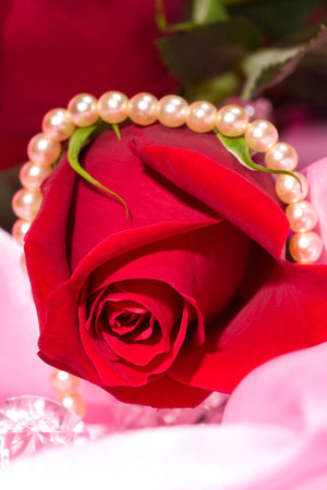 Romantic way to present a jewelry with beautiful rose on Valentine day.の写真素材
