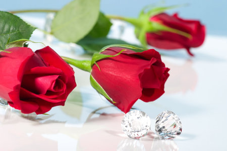  way to present a jewelry with beautiful rose on Valentine day.の写真素材