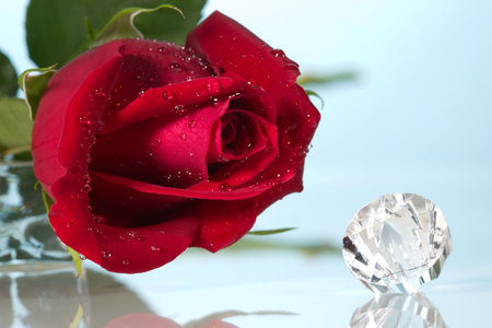  way to present a jewelry with beautiful rose on Valentine day.の写真素材