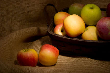 Basket of colorful organic apples during harvest timeの写真素材