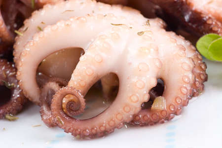 Extreme closeup of delicious cooked octopus in red wine dish and saladの写真素材