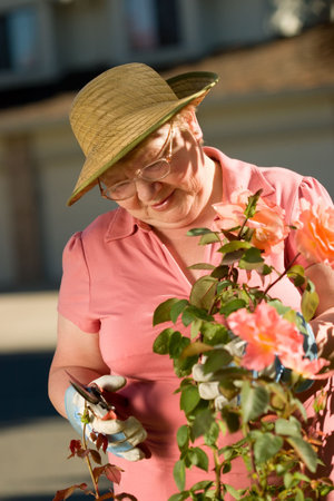 Happy elderly lady enjoys her time in a garden.の写真素材