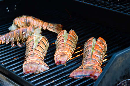 Closeup of delicious juicy lobster tails is grilling on open fireの写真素材
