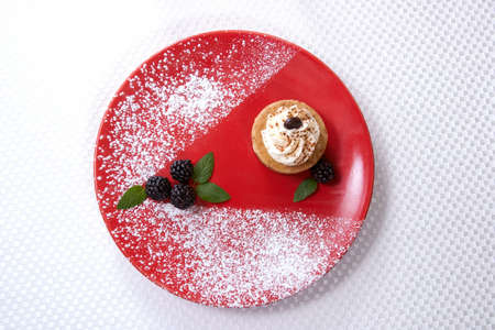 Delicious Cappuccino Cheesecake on chocolate-cherry syrup served with fresh blackberries and mint. の写真素材