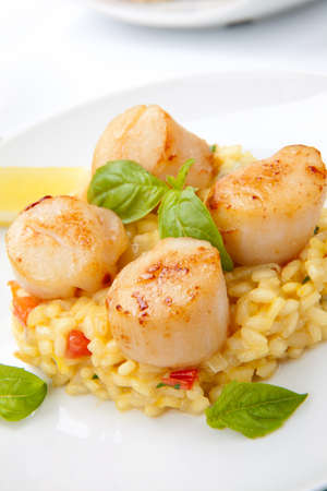 Plate of Scallops Risotto garnished with fresh basil, glass of white wine and bread.の写真素材