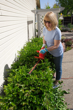 Woman trimming bushes in her backyard using an electrical hedge trimmer 