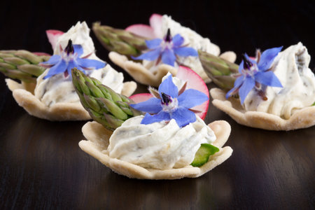 Closeup of  cheese and fresh garden vegetables canape over black background の写真素材