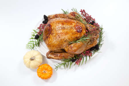 Thanksgiving pepper roasted turkey garnished with blackberry, pink peppercorn, and mini pumpkins on white.の写真素材