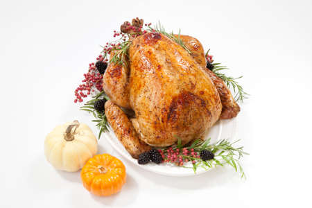 Thanksgiving pepper roasted turkey garnished with  pink peppercorn, and mini pumpkins on white.の写真素材