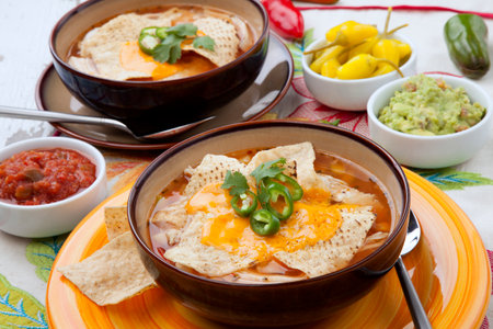 Closeup of two bowls of hot delicious spicy chicken nacho soup, garnished with melted cheese, jalapeno pepper, and fresh cilantro. Salsa, guacamole, and marinated hot pepper.の写真素材