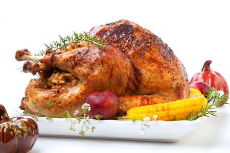Garnished traditional fall roasted turkey garnished with corn on the cob, plums, and herbs. On white background with pumpkins.の写真素材