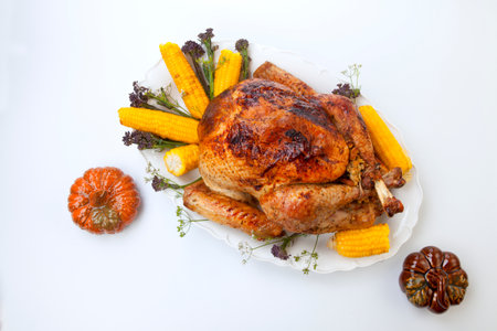 Garnished traditional fall roasted turkey garnished with corn on the cob, plums, and herbs. On white background with pumpkins.の写真素材
