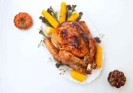 Garnished traditional fall roasted turkey garnished with corn on the cob, plums, and herbs. On white background with pumpkins.の写真素材
