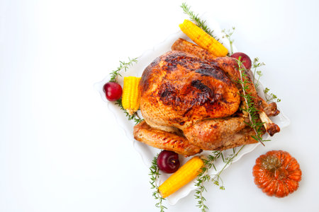 Garnished traditional fall roasted turkey garnished with corn on the cob, plums, and herbs. On white background with pumpkins.の写真素材