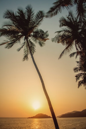 Bungalows on Palolem beach India Goa travel sea nature sun vacation
