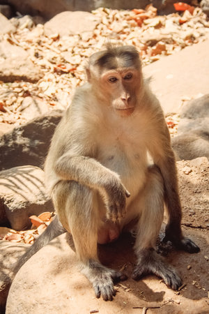 Sea sunset sun nature animal landscape travel vacationの写真素材