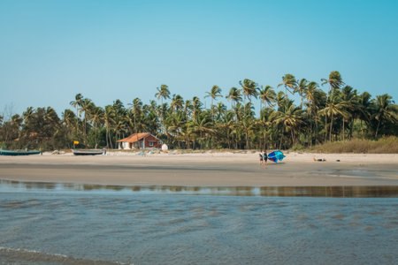 Sea sunset sun nature animal landscape travel vacationの写真素材