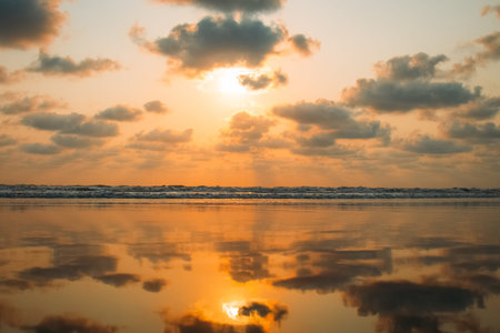 Sea sunset sun nature animal landscape travel vacationの写真素材