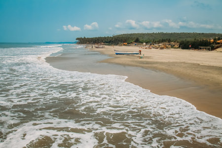 Sea sunset sun nature animal landscape travel vacationの写真素材