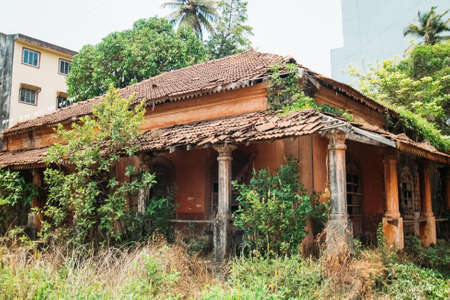 Sea sunset sun nature animal landscape travel vacationの写真素材