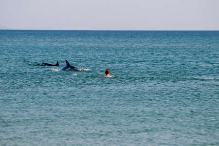 people sea vacation inflatable mattress thailand travel dolphinの写真素材