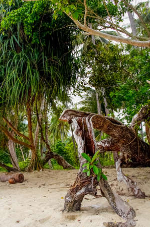 Thailand Pattaya journey nature park sea vacation beach hotelの写真素材