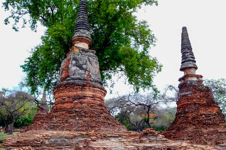 Head of Buddha statue in the tree roots at Wat Mahathat temple, Ayutthaya, Thailandの写真素材
