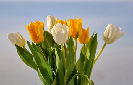 bouquet of tulips of different colors against the blue sky