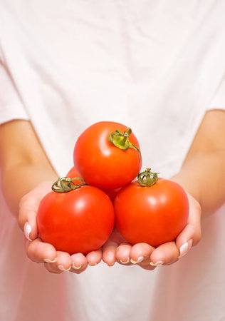 ripe tomatoes close up in the hands of a girlの写真素材