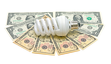 Energy saving light bulb and banknotes on a white background closeup