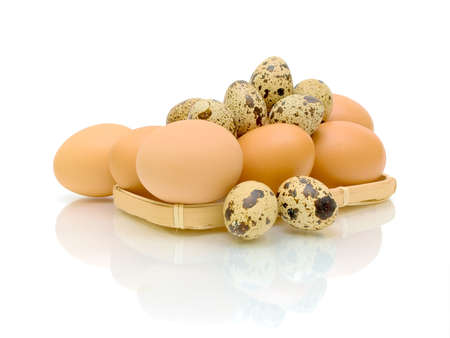 quail and chicken eggs in a small basket on a white background with a reflection of a close-upの写真素材