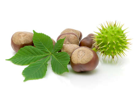 fruit and chestnut leaf isolated on white close-upの写真素材